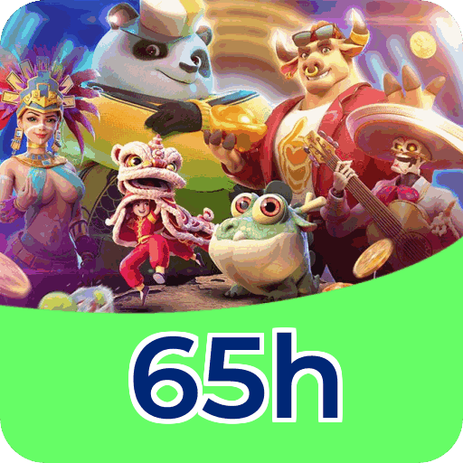 Performance 65h